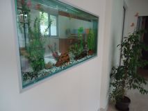 DSC02915.JPG